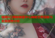 暗网λ口揭秘咖里中心神秘世界探秘与发展趋势分析