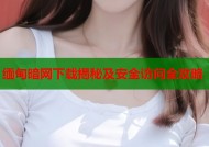 缅甸暗网下载揭秘及安全访问全攻略