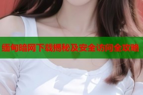 缅甸暗网下载揭秘及安全访问全攻略