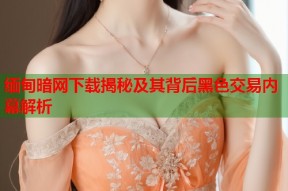 缅甸暗网下载揭秘及其背后黑色交易内幕解析