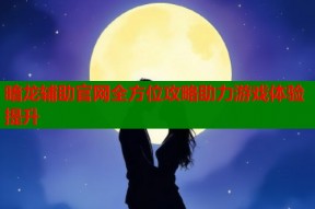 暗龙辅助官网全方位攻略助力游戏体验提升