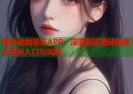揭秘暗网禁区APP：深度解析隐秘网络世界的入口与风险