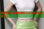 暗网怎么进去揭秘隐秘入口与安全访问技巧