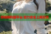 禁暗网利器平台 助力安全上网无忧