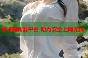 禁暗网利器平台 助力安全上网无忧