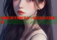 暗网红房子揭秘平台一站式安全交易体验
