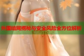 外国暗网揭秘与安全风险全方位解析