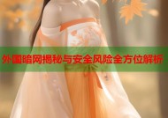 外国暗网揭秘与安全风险全方位解析