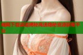 暗网下载渠道揭秘高速隐秘资源获取平台