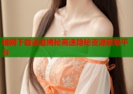 暗网下载渠道揭秘高速隐秘资源获取平台