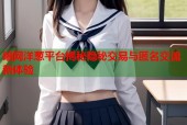 暗网洋葱平台揭秘隐秘交易与匿名交流新体验