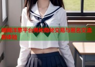 暗网洋葱平台揭秘隐秘交易与匿名交流新体验