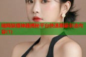 暗网禁播神器揭秘平台快速屏蔽非法内容(1)