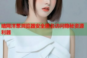 暗网洋葱浏览器安全匿名访问隐秘资源利器