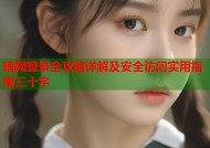 暗网登录全攻略详解及安全访问实用指南三十字