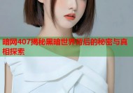 暗网407揭秘黑暗世界背后的秘密与真相探索