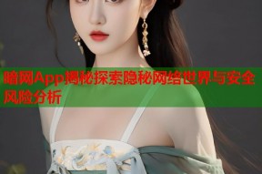 暗网App揭秘探索隐秘网络世界与安全风险分析
