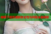 暗网下载资源的安全性与风险全面解析