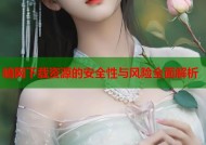 暗网下载资源的安全性与风险全面解析