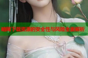 暗网下载资源的安全性与风险全面解析
