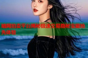 暗网拍卖平台揭秘极速交易隐秘宝藏抢先体验