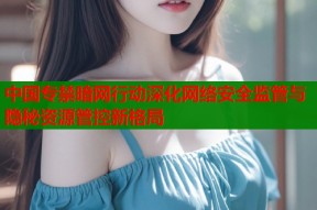 中国专禁暗网行动深化网络安全监管与隐秘资源管控新格局