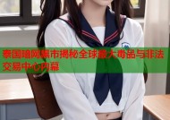 泰国暗网黑市揭秘全球最大毒品与非法交易中心内幕