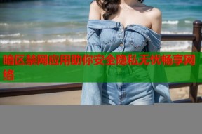 暗区禁网应用助你安全隐私无忧畅享网络