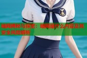 暗网揭秘与探索：暗网是什么内容及其安全风险解析