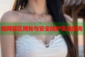 暗网禁区揭秘与安全防护实战指南