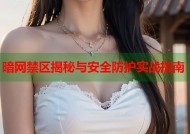 暗网禁区揭秘与安全防护实战指南