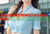 揭秘在线暗网世界的秘密与安全风险全面解析