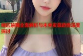 暗区禁网全面解析与未来发展趋势深度探讨