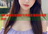 暗区禁网全面解析与未来发展趋势深度探讨