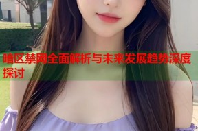 暗区禁网全面解析与未来发展趋势深度探讨