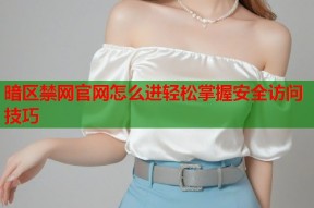 暗区禁网官网怎么进轻松掌握安全访问技巧