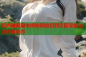 欧洲暗网黑市揭秘网络犯罪与国际执法合作新动态