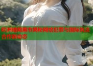 欧洲暗网黑市揭秘网络犯罪与国际执法合作新动态