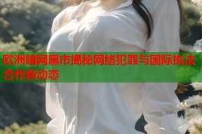 欧洲暗网黑市揭秘网络犯罪与国际执法合作新动态