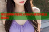 暗区禁网账号的定义特征与使用风险全面解析