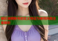 暗区禁网账号的定义特征与使用风险全面解析