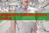 暗网禁区软件大全揭秘隐秘访问与安全保障利器