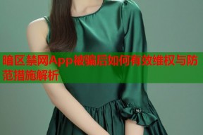 暗区禁网App被骗后如何有效维权与防范措施解析