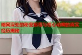 暗网深处的秘密旅程与惊心动魄的真实经历揭秘