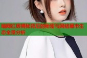 暗网红房揭秘背后的秘密与网络黑市生态全景分析