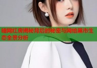 暗网红房揭秘背后的秘密与网络黑市生态全景分析