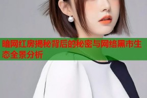 暗网红房揭秘背后的秘密与网络黑市生态全景分析
