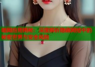 暗网应用揭秘：深度解析隐藏网络中的秘密世界与安全风险