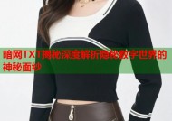 暗网TXT揭秘深度解析隐秘数字世界的神秘面纱