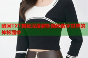 暗网TXT揭秘深度解析隐秘数字世界的神秘面纱